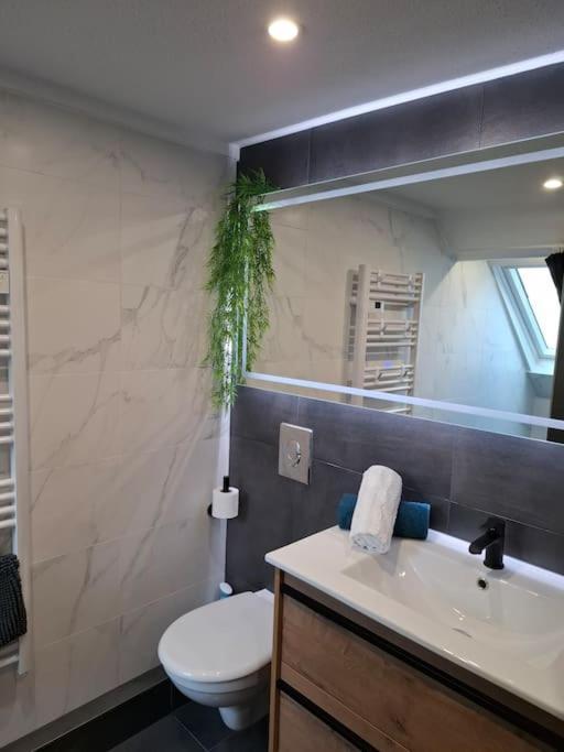 Bel Appartement, Селеста Екстер'єр фото